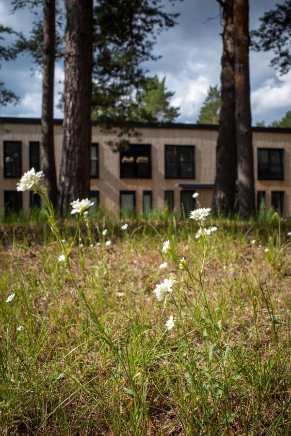 11 Pine View Apartment Kesterciems Exterior photo